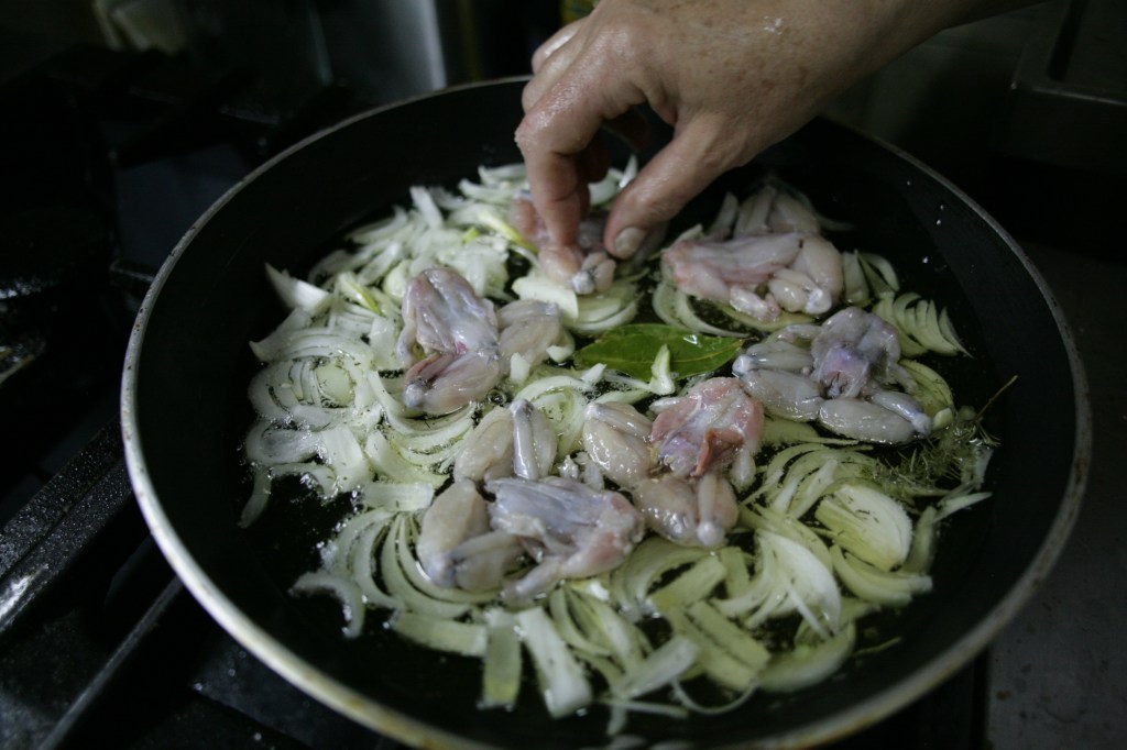 Von Fröschen und&nbsp;Bären