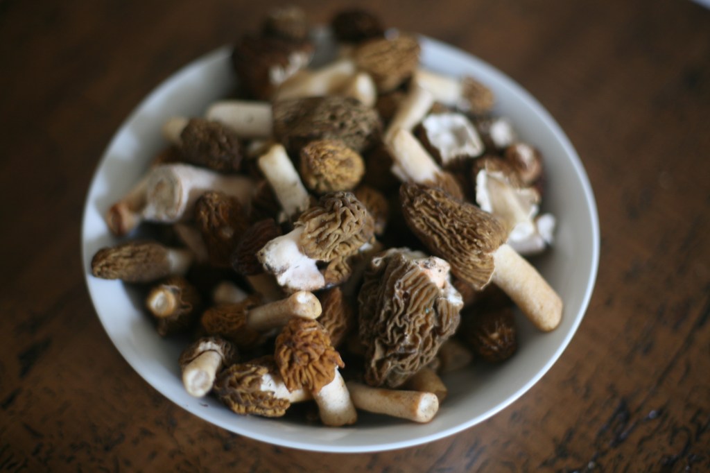 Den Frühling in die Pfanne&nbsp;hauen